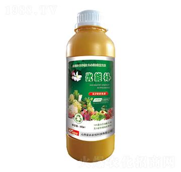 I(yng)B(yng)sҺ-(yu)a(b)-и