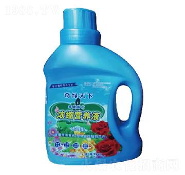 sI(yng)B(yng)Һ-G-и