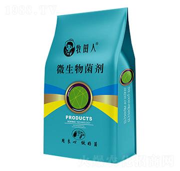 ֲI(yng)B(yng)-EM-̩