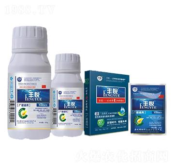 ߿ҺB(ti)L(zhng)ЧҺ-S-ʷϿ