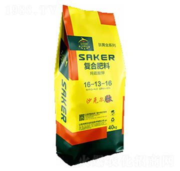 Sϵɳˠ(f)Ϸ16-13-16-Wِ˹