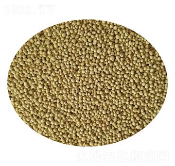 ȫI(yng)B(yng)ጷ-Ƽ