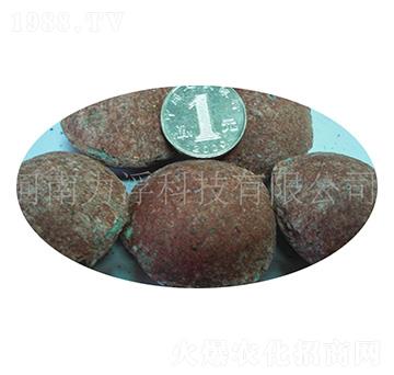 wጘ(sh)ʣ،(zhun)ã15-5-25-Ŷ-Ƽ