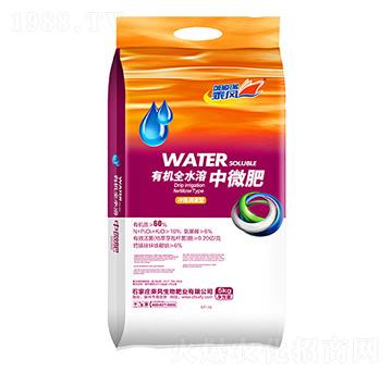 60%ЙC(j)ȫˮ΢-L(fng)