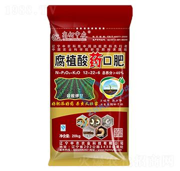 ֲˎڷ12-22-6-߿r(nng)