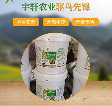 (q)B(nio)h-܎r(nng)I(y)