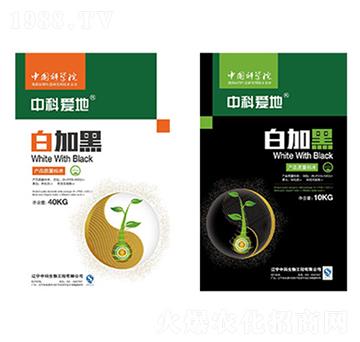 ׼Ӻϵײͷ-пƐ(i)-п