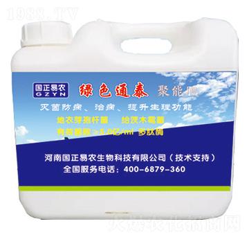 Gɫ̩ܷͨ-(gu)r(nng)