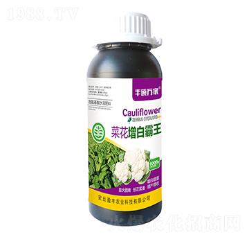 ˻װ-STf(wn)-ӯSr(nng)I(y)