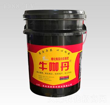 ǻø--ԭWr(nng)