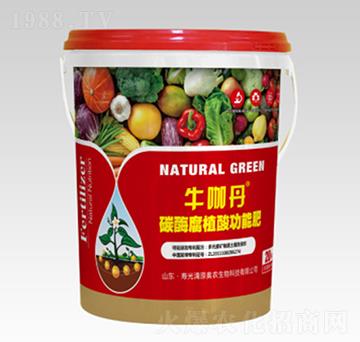 ̼øֳṦܷ--ԭWr(nng)