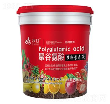 ۹ȰֲI(yng)B(yng)Һ-h-՘(l)