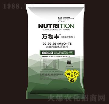 ƽʹԪˮܷ20-20-20+MgO+TE-fS-o(h)