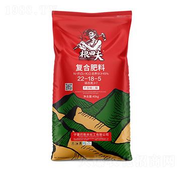 (f)Ϸ22-18-5--r(nng)(lin)r(nng)I(y)