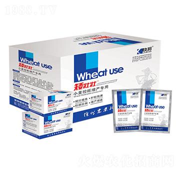 小麥控旺增產(chǎn)專用矮壯壯-快邦生物