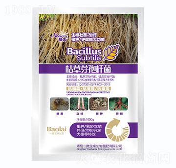 1000gݲѿߗU-ǃ(yu)-һ