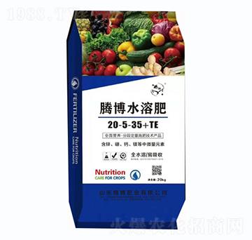 vˮܷ20-5-35+TE-vʘI(y)