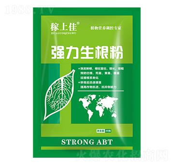 (qing)-ϼ-r(nng)I(y)