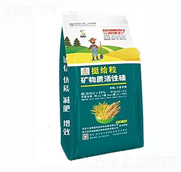 ͦoV|(zh)Թ-Tr(nng)I(y)