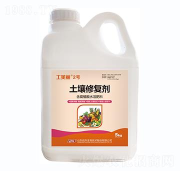 ޏ(f)-2̖(ho)-(zhn)܇