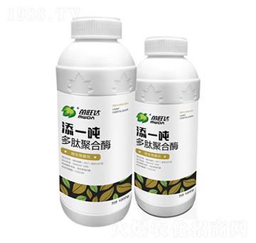 ľۺø-һ-_(d)r(nng)I(y)