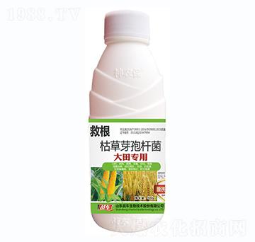 ÿݲѿߗU-ȸ-(zhn)܇