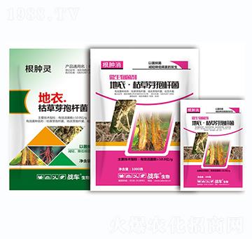 ¡ݲѿߗU-[`-(zhn)܇