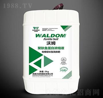 L(zhng);~(y)םsҺ-ķ-ֵķ