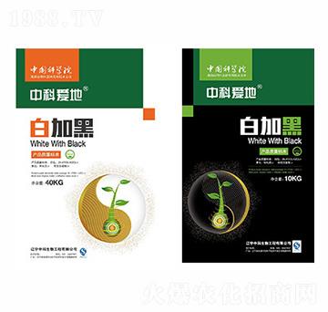 пƐ(i)ذ׼Ӻϵײͷ-п