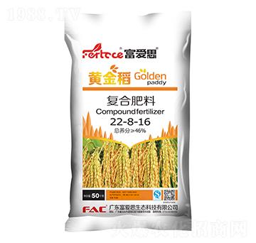 (f)Ϸ22-8-16-S-(i)˼