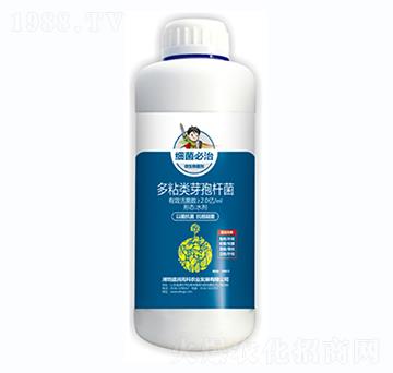 ճ(li)ѿߗU-(x)-ʢ(rn)߿