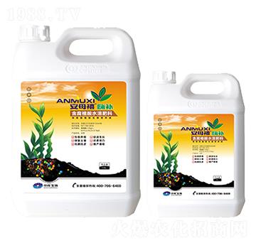 ͠IB(yng)Һ-ĸa(b)-Ǫ