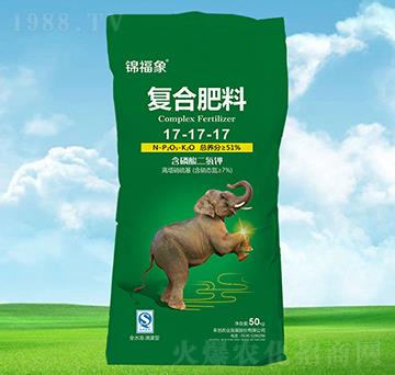 51%ͺϷ17-17-17-\-Sr(nng)I(y)