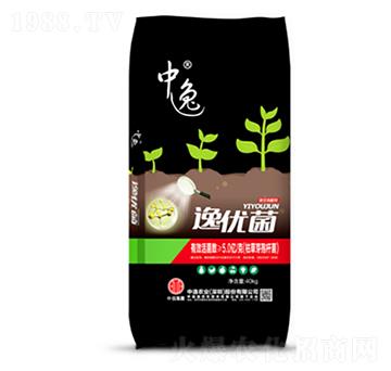 -݃(yu)5|-r(nng)I(y)