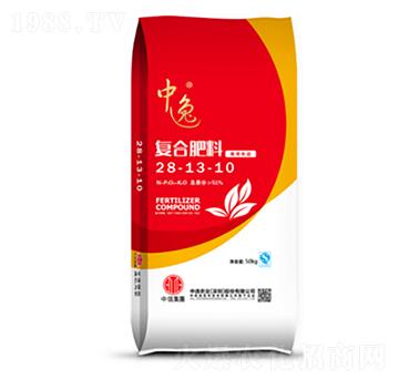 ͺϷ28-13-10-r(nng)I(y)