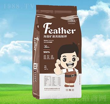 VԴS-~(y)-\-Sr(nng)I(y)