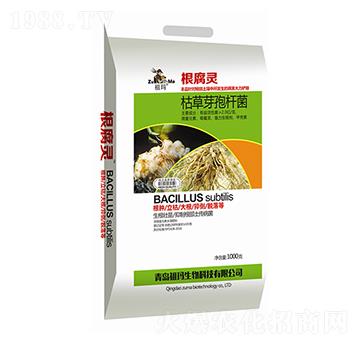 ݲѿߗU-`-欔-ʰl(f)