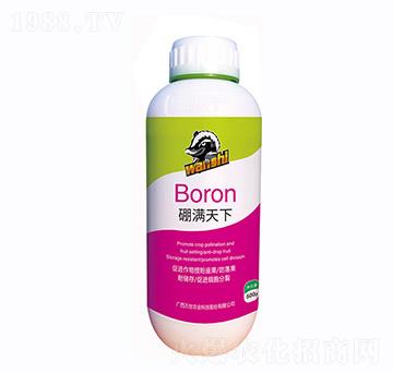 M(mn)-f(wn)r(nng)I(y)