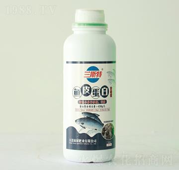 1000gm˹~(y)Ƥ-GչʘI(y)