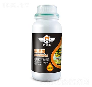 M(mn)@(sh)@؂䣩-ʩS