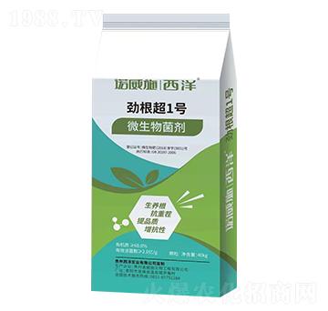 Ÿ1̖(ho)΢-Zʩ-(sh)I(y)