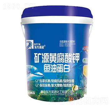 VԴS⛣~(y)͵ף-|ӢZ