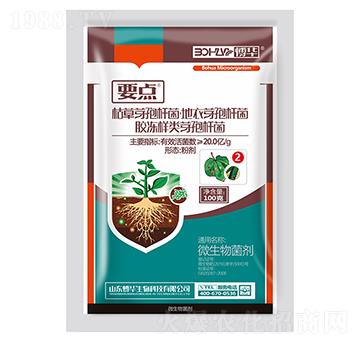 20.0|ÿ˿ݲѿߗUۄ-Ҫc(din)2̖(ho)-nr(nng)