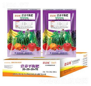 IB(yng)ƽ20-20-20+TE--r(nng)