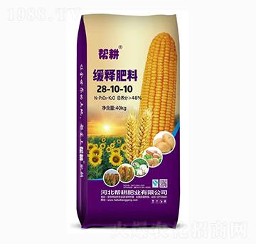 ጷ28-10-10-͸ʘI(y)