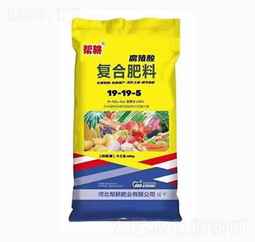 (f)Ϸ19-19-5-͸ʘI(y)