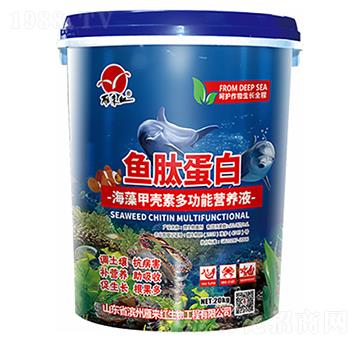 ךض๦ܠI(yng)B(yng)Һ-~ĵ-t