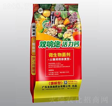 {(dio)ޏ(f)΢-pڻ}-ʩ