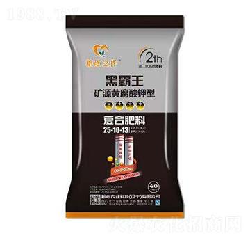 VԴS͏ͺϷ25-10-13-Zr(nng)I(y)