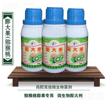 �J���Ҍ���΢�������-����-��������